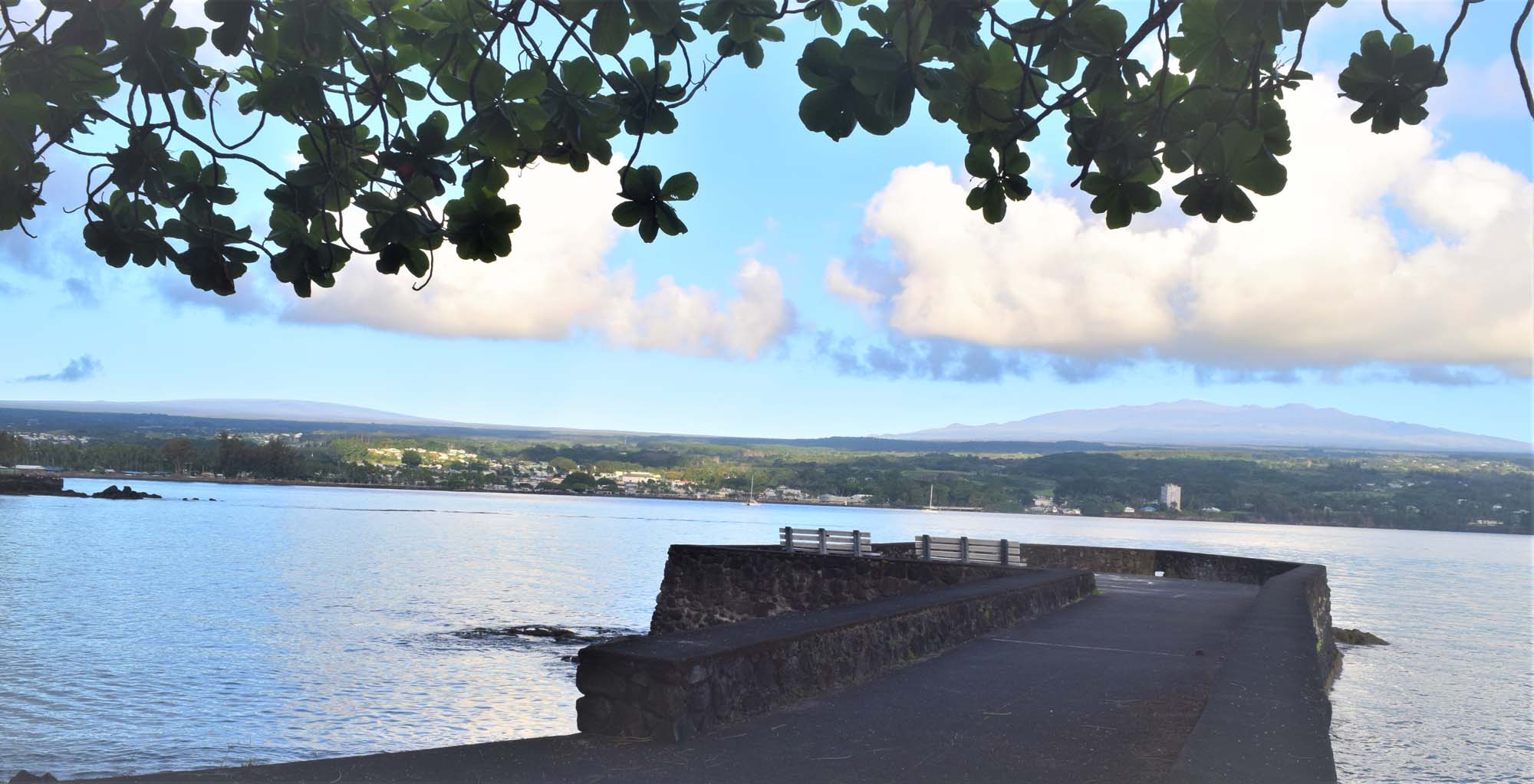 Hilo Bay, the shoreline, and a stone walkway beneath overhanging trees